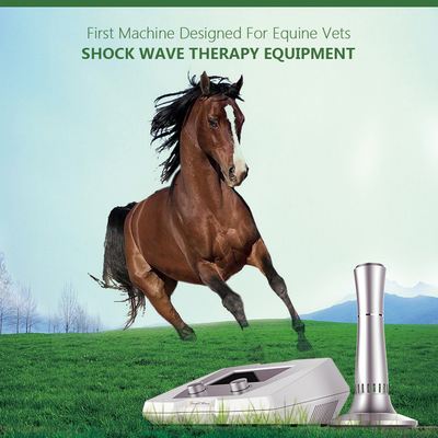 1 - 22 هرتز تجهیزات دامپزشکی پزشکی دامپزشکی Shockwave BS-SWT2X برای صدمات تاندون